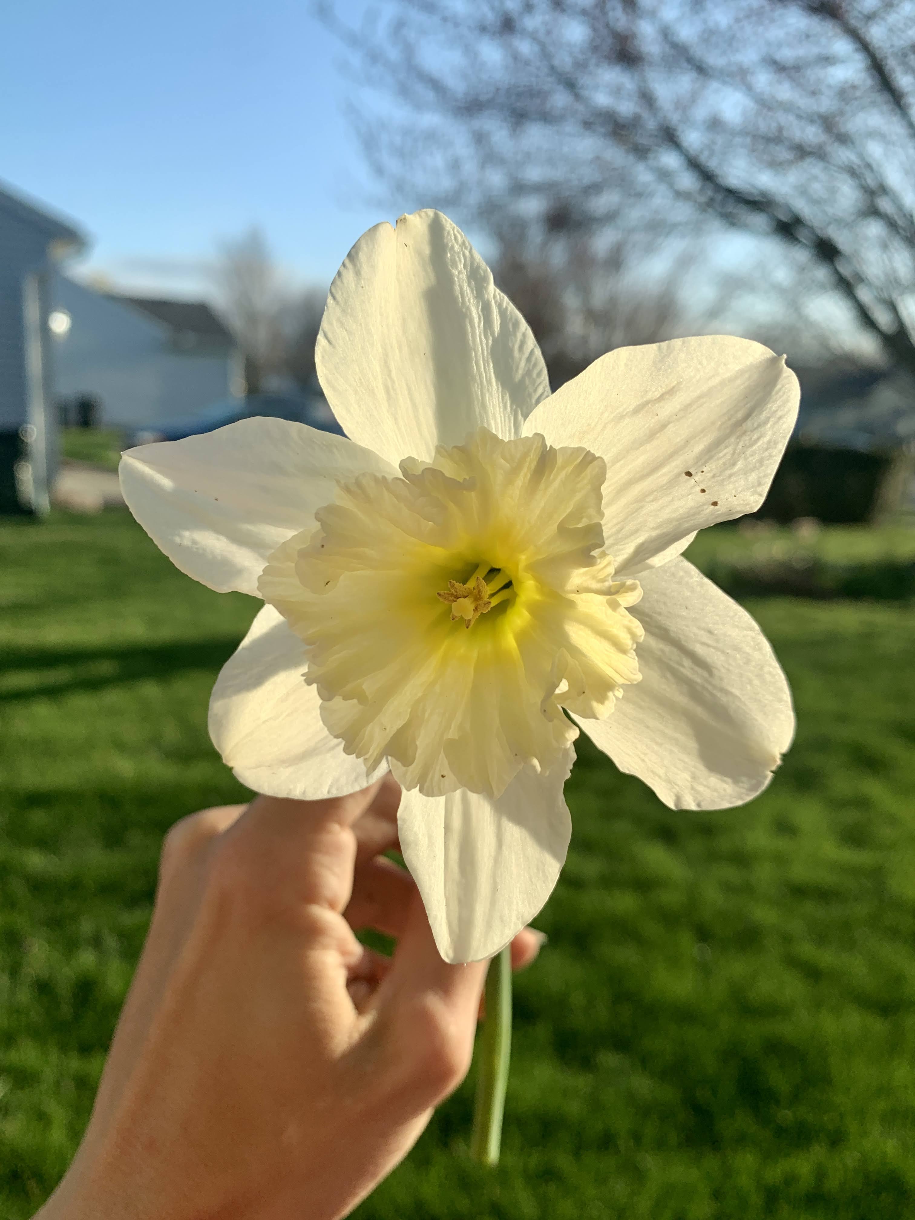 Spring Break '22'